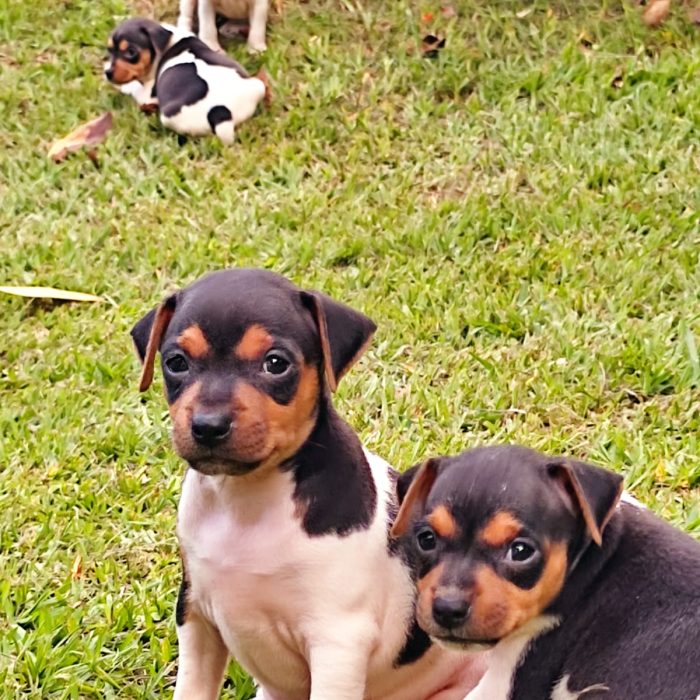 WhatsApp Image 2025-02-10 at 20.19.02