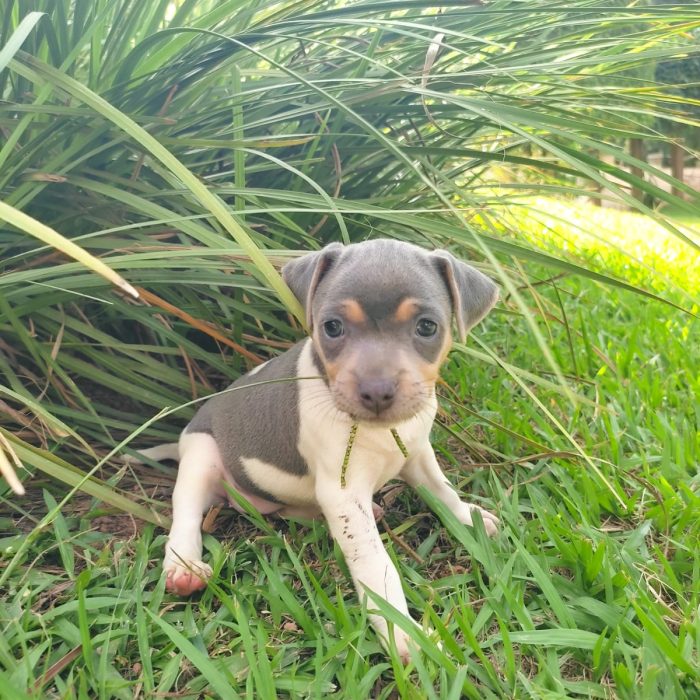 WhatsApp Image 2025-02-10 at 20.21.16