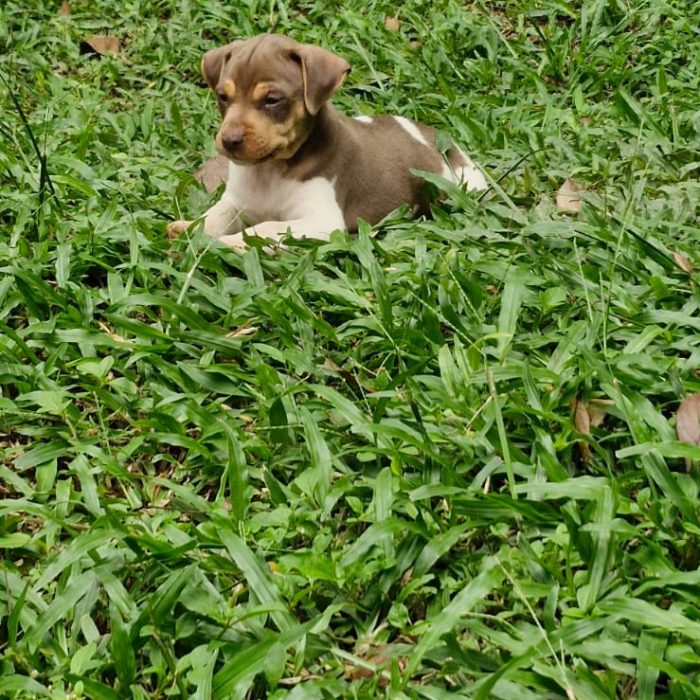 WhatsApp Image 2025-02-10 at 20.21.35